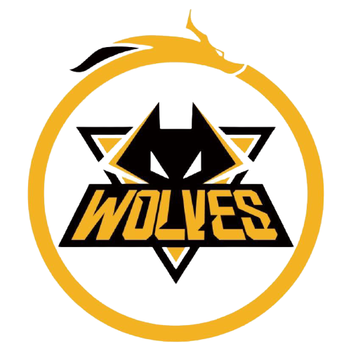 心内线支柱 心内线支柱