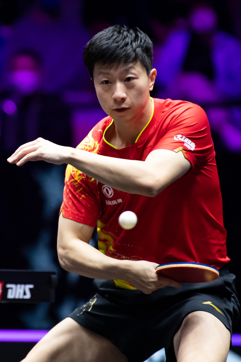 指新赛季 指新赛季